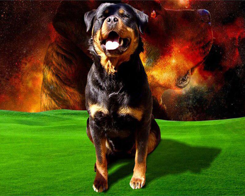 5D DIY Алмазная картина Единороги и женщины Пейзаж Луна Полная площадь/круглая Алмазная вышивка Собака Животные Стразы Мозаика Декор для дома