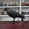 Black Life Size Crow Repellent Lifelike Hunting Decoy Outdoor Weed Pest Decoy  Courtyard Garden