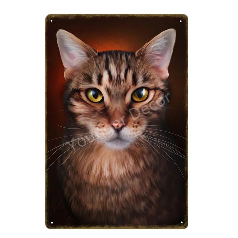 Предупреждение: Остерегайтесь черной кошки, знаки домашних животных, металлический плакат с изображением животных, винтажная тарелка для настенного искусства, ретро, ​​декор для дома, комнаты, 30X20 см, YJ139