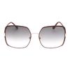 Tom Ford Womens/Ladies Gradient Sunglasses