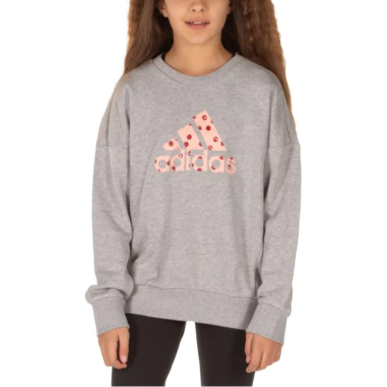Adidas Sweatshirt Gray Teenagers ED4618