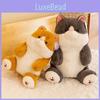 Fat Animal Cat Stuffed Plush Toy Cartoon Orange Gray Doll Children Gift Birthday