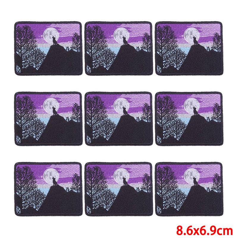 10 шт./лот, оптовая продажа, вышивка, железные нашивки для одежды, нашивки для одежды, куртки, декор, аппликация, принадлежности для шитья