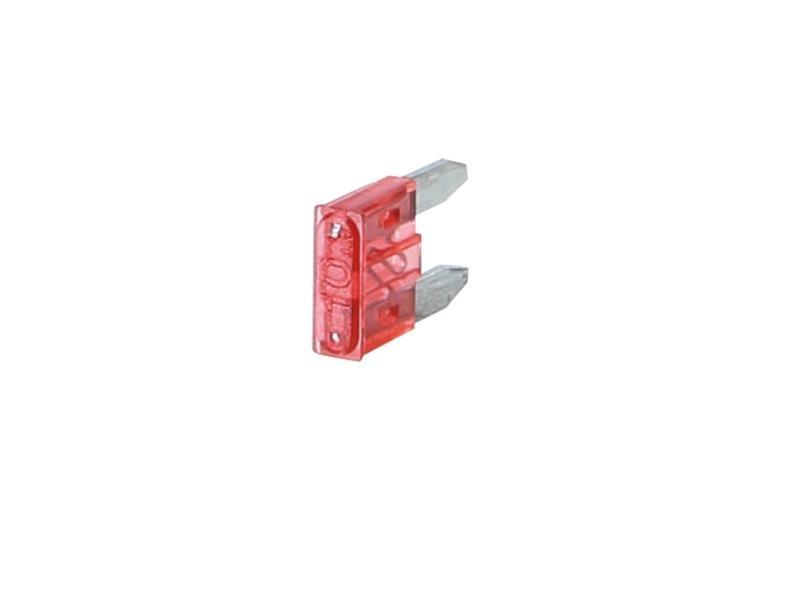 Atm 10A Car Fuse