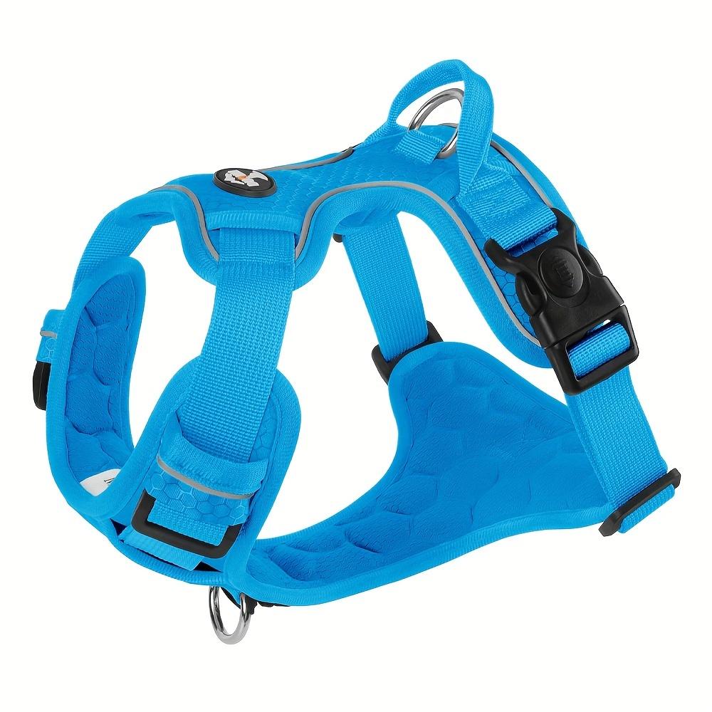 Регулируемая и взрывобезопасная шлейка и поводок для собак для безопасного и веселого отдыха на свежем воздухе с вашим питомцем #King's day