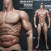 ZC Toys масштаб 1:6, мускулистая фигура, подходит для головы Hot Toys 12, SCULPT