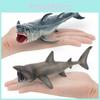 Childrens Marine Animal Shark Model Pvc Static Decorative Figure