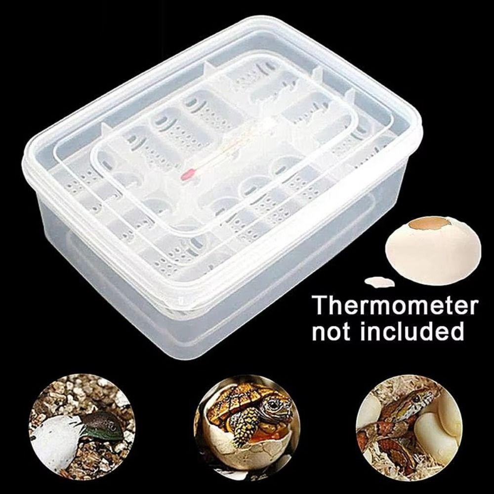 with Thermometer Reptile Hatch Box 16 Grids Crawler Incubation Case  Pet