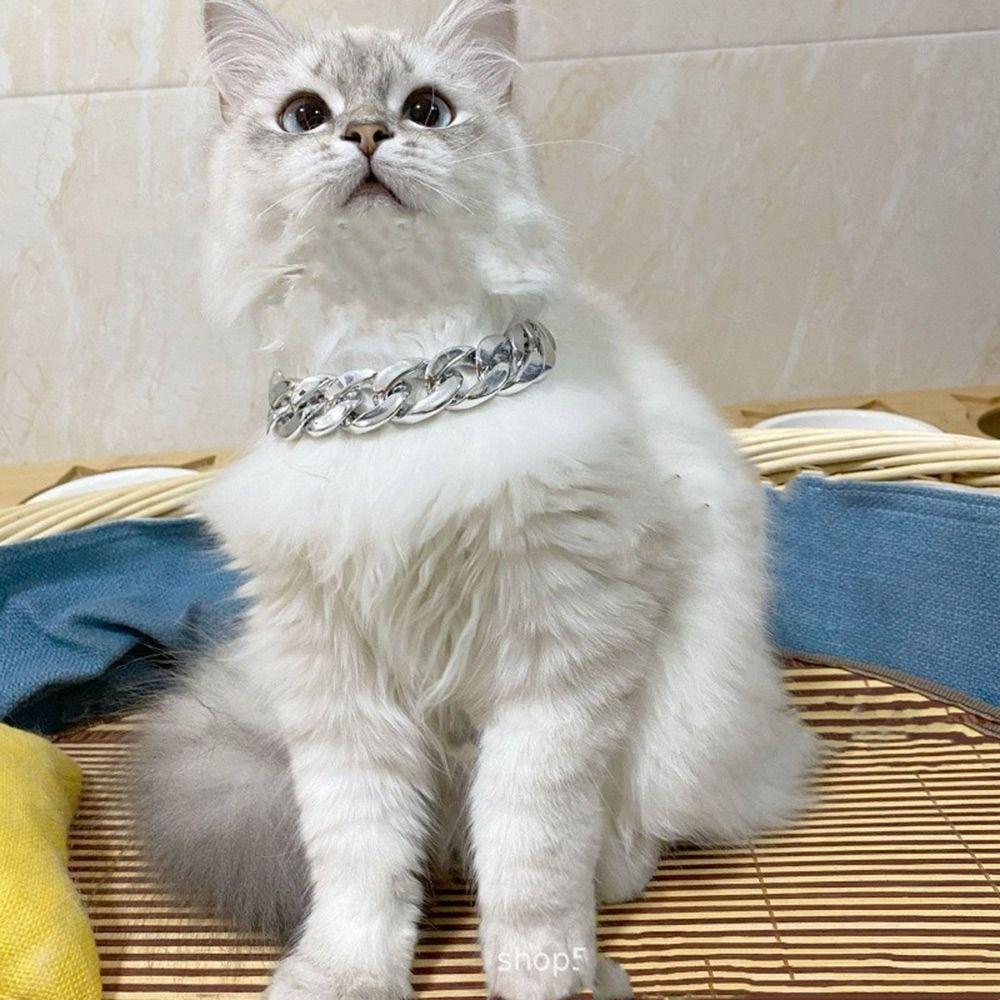 Ошейник-цепочка, ошейник для собак, ошейник для кошек и собак, золотое ожерелье, ошейник для питбуля для маленьких и средних собак