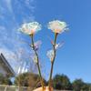Colorful Luminous Rose Artificial LED Light Flower Unique Gifts For Girls