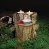 Petrified Wood Tealight Candle Holder