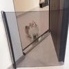 Retractable Pet Gate: Indoor Safety Net for Dogs & Cats, No-Drill Isolation Fence for Stairways & Hallways