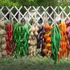 Home Decor Artificial Fruit Foam Vegetable Corn Pepper Garlic Hanging Photo Prop