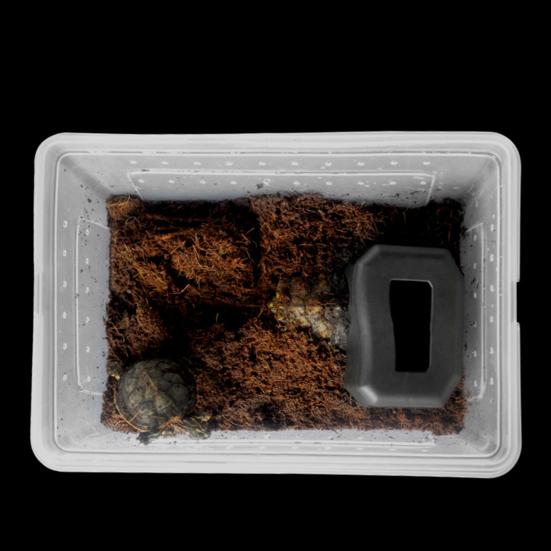 Терраса для рептилий Противоскользящая Гладкая поверхность Твердая устойчивость к царапинам Без заусенцев Отдых для сна с кормушкой