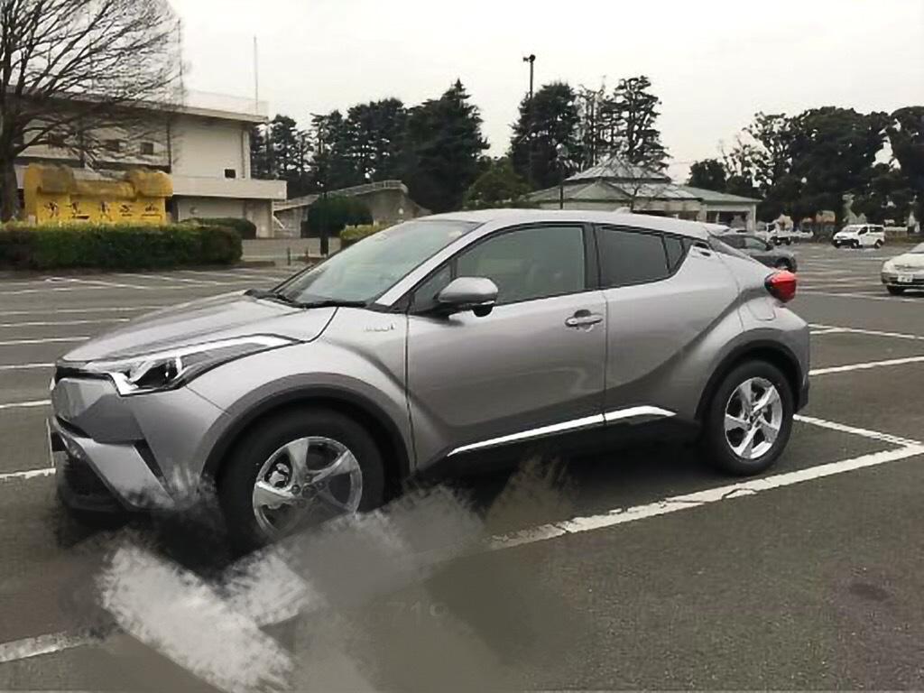 Toyota C-HR ABS Electroplated Door Edge Trim for 2016-17 Models