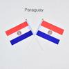 Paraguay 10pieces of 14*21cm hand-waving flags