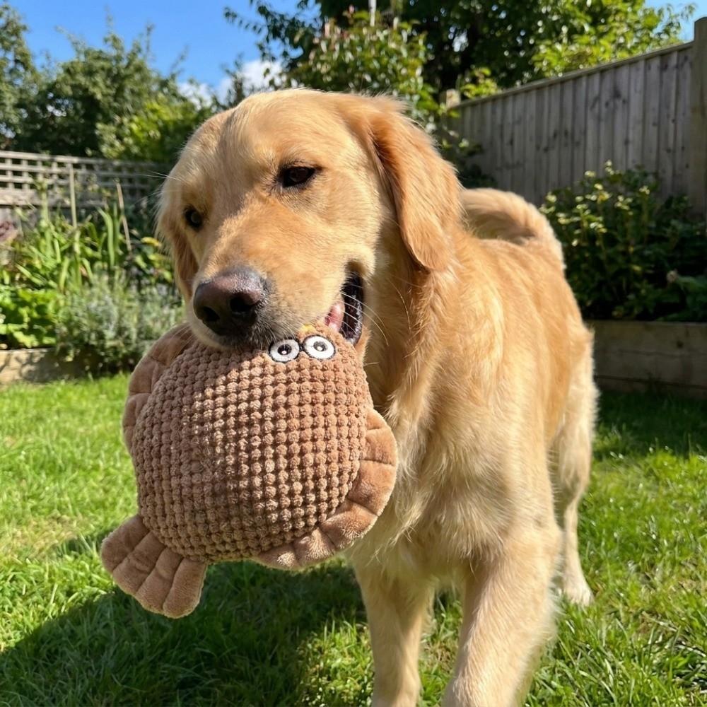 Animal Shaped Dog Soothing Toys Soft Dog Chew Toy Funny Squeaky Toy Teething Cleaning