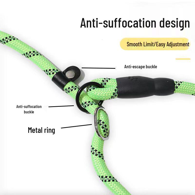 Reflective Double-Strand Anti-Choke Dog Leash