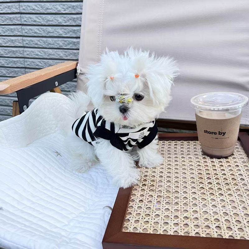 Autumn Winter Thin Plush Pet Dog Clothes Retro Classic Black White Stripe Hoodies For Small Medium Dog Yorkshire Puppy Hoodie