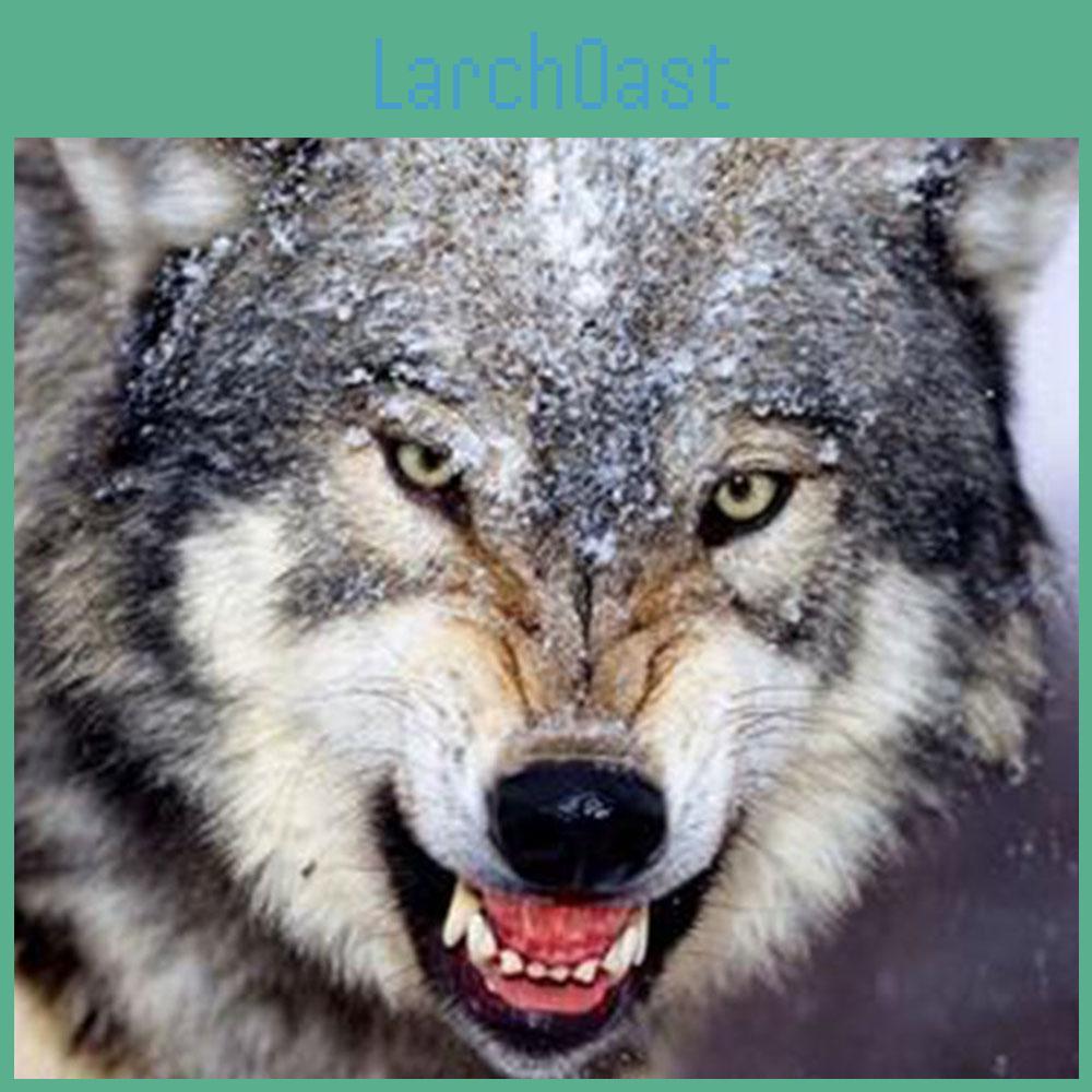 Diamond Ferocious Painting Wolf Round Embroidery Cross Stitch Rhinestone Mosaic Home Decor