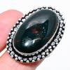 Bloodstone Gemstone 925 Sterling Silver Jewelry Ring Size 9 M9s38