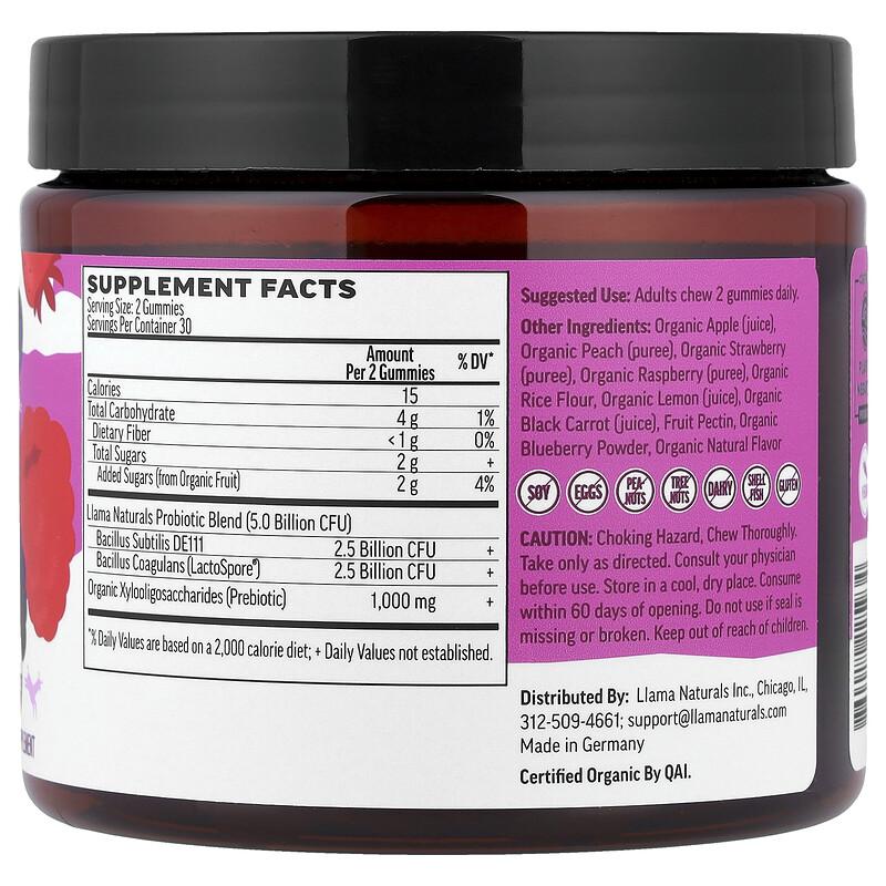 Adult Prebiotic & Probiotic, Real Fruit Gummies, Mixed Berry, 60 Gummies