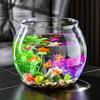 Round Unbreakable Transparent Fish & Turtle Tank for Desktop or Living Room