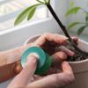 Самоклеящаяся ПЭ Прививочная Лента Рулон Пленка Разлагаемая Парафиновая Пленка Питомниковые Ленты для Поддержки Растений Растягивающиеся Садовые Растения Инструменты