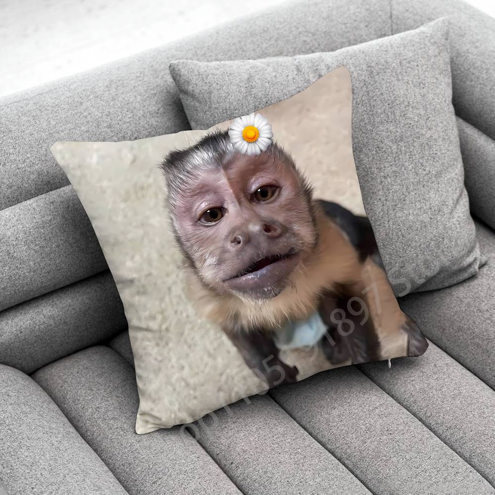 Monkey Funny Tape Throw Pillow Case For 30X30Cm 40X40Cm 45X45Cm 50X50Cm 55X55Cm Square Sofa Pillowcase Shell
