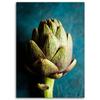 Canvas print, Artichoke
