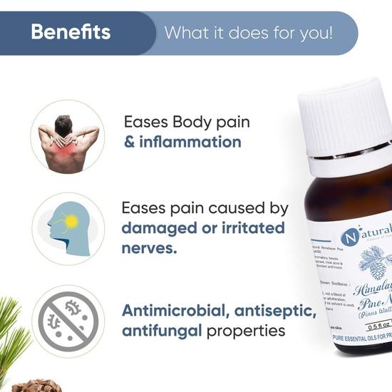 Naturalis Himalayan Pine needle Essential Oil for Skin, Hair and Aromatherapy, 15ml