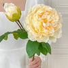 1шт искусственные цветы домашний декор букет пионов высокое качество свадебная цветочная композиция элегантный и роскошный 2 головки 62см