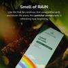 CALMVEDA Fresh Rain Incense Sticks - 80 Scent Sticks