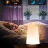 RGB сенсорный прикроватный светильник, 13 цветов, USB-перезаряжаемый ночник с пультом дистанционного управления, таймером и 3 режимами для украшения дома в спальне