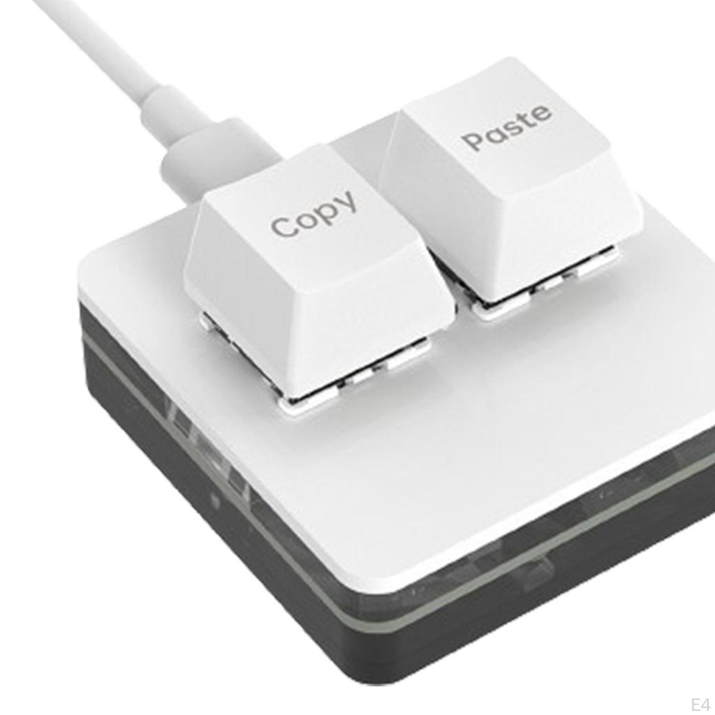 Copy and Paste 2 Key Keyboard Mechanical Gaming Type C Programming for