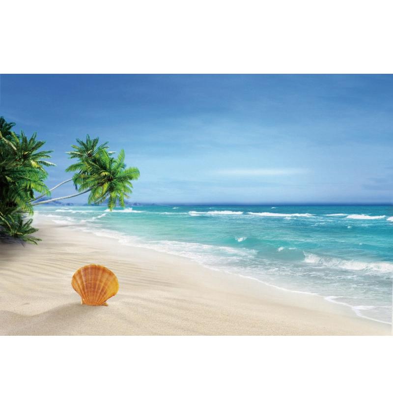 Tropical Beach Backdrop Decoration Seashell Starfish Summer Vacation For Pool Party Celebration Backgrounds For Photographs