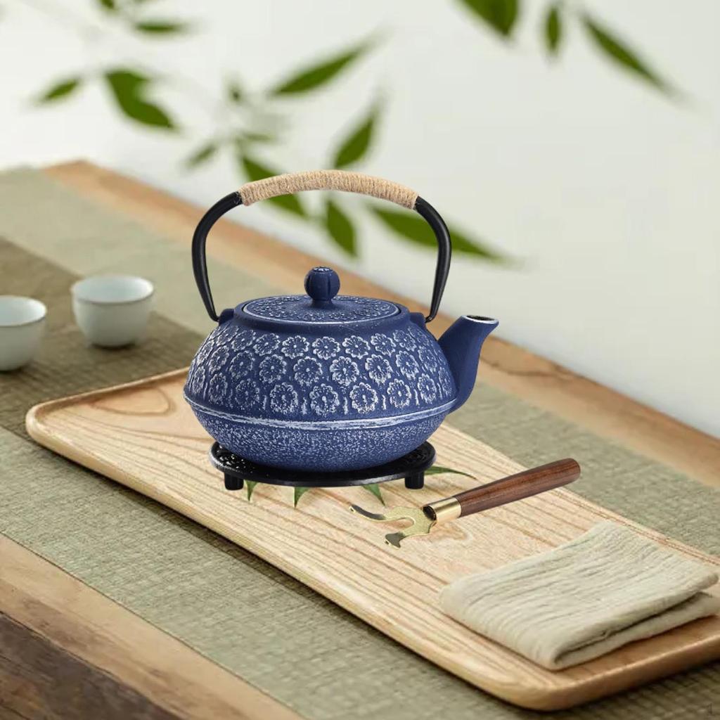 Japanese Cast Iron Teapot Tetsubin Tea Pot for Boiling Water Internal Enamel 900ml