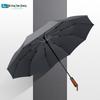 Lijing Tiancheng LJ3018 10-Rib Automatic Sun & Rain Umbrella