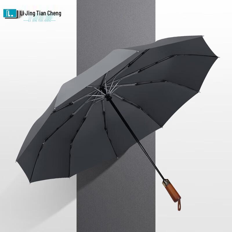Lijing Tiancheng LJ3018 10-Rib Automatic Sun & Rain Umbrella