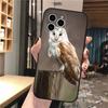Чехол для телефона Carcasa Funda Для iPhone 17 Pro Max 17 Air 16 15 14 13 Pro Max 15 16 Pro 15Plus Сова