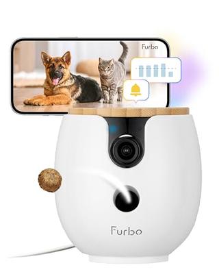[Официальный] Furbo Mini 360° Обзор, Качество изображения 2K, Премиум-пакет с фиксированной ставкой | От бренда камер для питомцев, любимого 1,5 миллионами человек, эта компактная AI