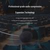 Runpu Wireless Conference Headset Microphone System (CN version)