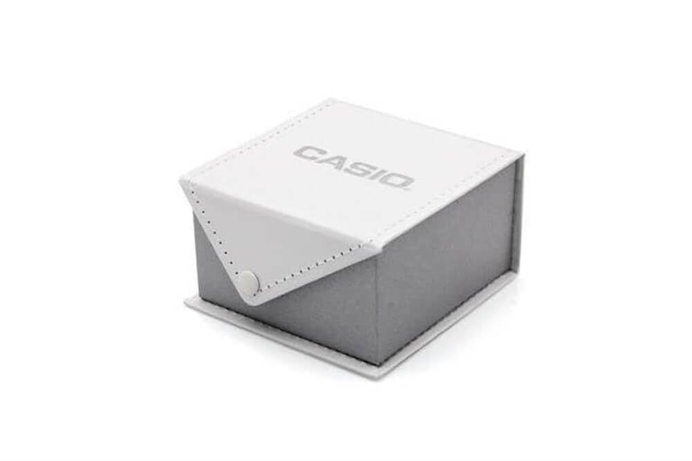 Casio Часы СТАНДАРТНЫЕ аналоговые женские [Casio] [Продукт] LTP-V005D-2B