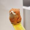 Mini Wooden Animal Figurine Hand Carving Wood Cat Statues Cute Painted Cats Crafts Ornaments Table Deocr Gifts