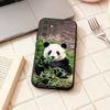 fubao panda phone Case For Samsung Galaxy A73,A72,A71,A70,A53,A52,A51,Others Soft Black Shell