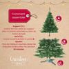 Sapin de Noël Artificiel - CREHOM - 220 cm - Vert Foncé - Support Stable - Intérieur