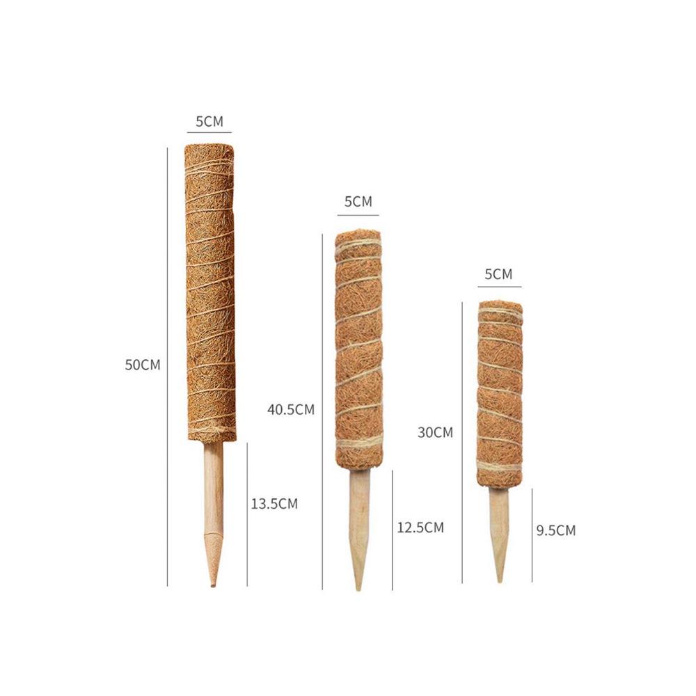 Natural Coconut Palm Rod Plant Support: 30cm/40cm/50cm, Modular Climbing Trellis for Vines