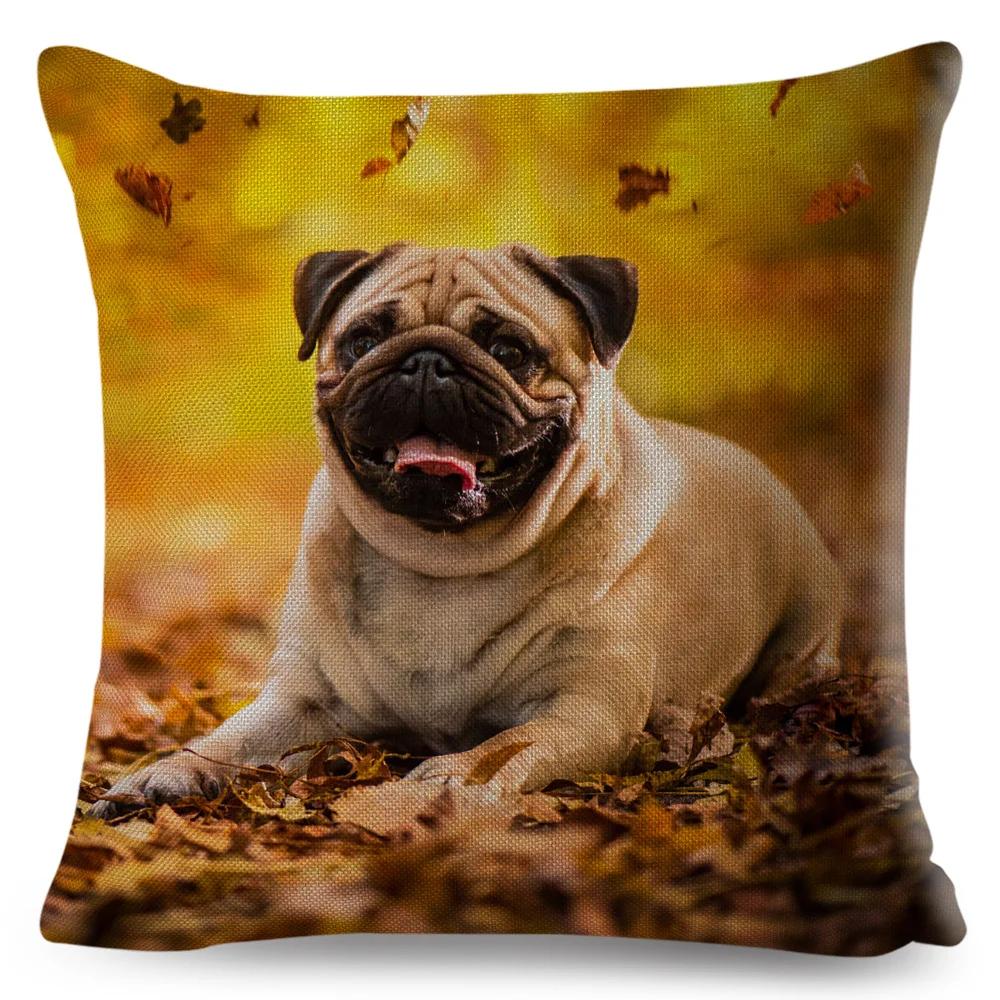 Both Sided Pug Dog Print Cushion Cover Decoration Pet Animal Pillow Case for Sofa Home Car Linen Pillowcase 45x45cm