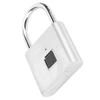 Smart Fingerprint Padlock USB Rechargeable Security LED Lock for Backpack Luggage CabinetSilver