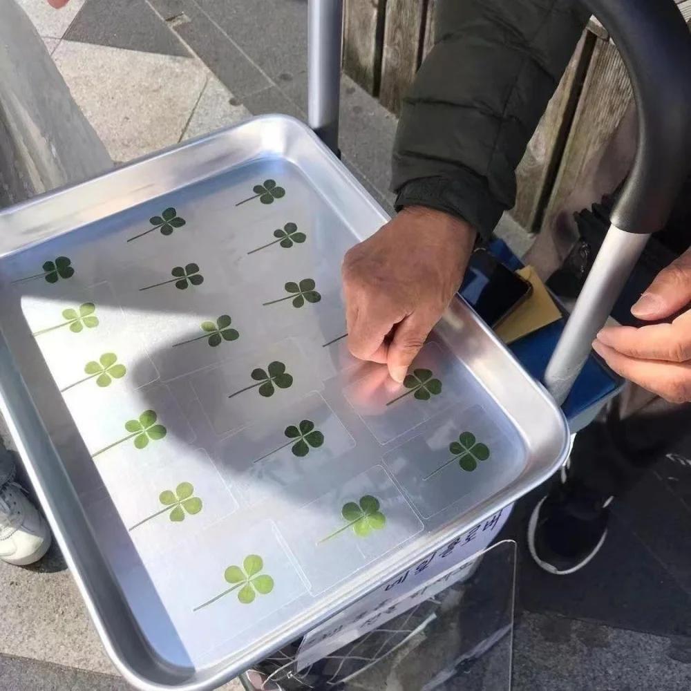 5 шт. Открытки «Клевер на удачу» - Прозрачные открытки с натуральной травой для закладок и украшений